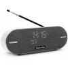 Technisat DigitRadio BT 2 gris claro (0001/3973)