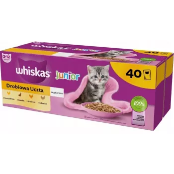 Alimento húmedo para gatos Whiskas Junior ave en gelatina 40 x 85 g — para gatitos