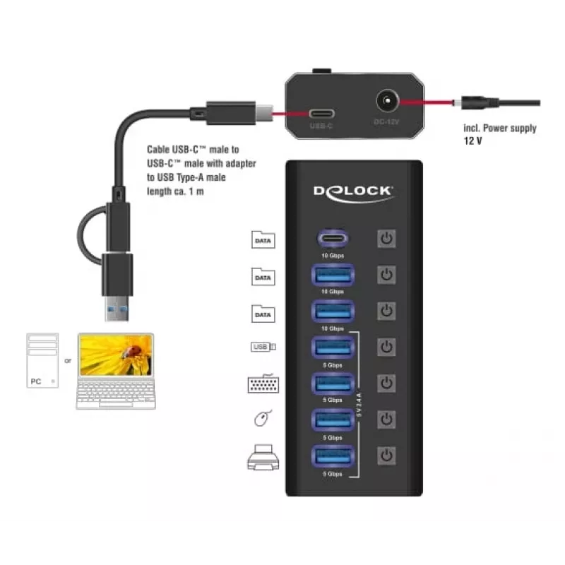 DeLOCK 64326 Hub de interfaz USB 3.2 Gen 2 (3.1 Gen 2) Type-C 10000 Mbit/s Negro