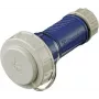 Conector hembra Schuko 10833 16A2P+E 230V DWD azul (10833)