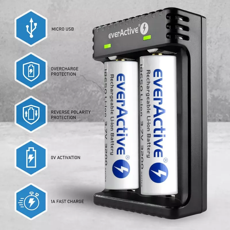 Cargador de pilas everActive LC200 Hogar USB, 2 compartimentos, Li-Ion, compatible con A/AA/AAA/AAAA/C/D, entrada 5 V, salida 4,2 V, negro