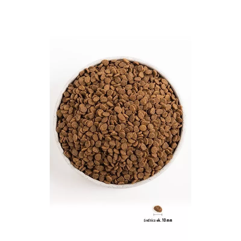 Orijen Kitten pienso seco para gatitos, 1,8 kg