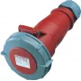 MENNEKES Elektrotechnik GmbH & Co. KG conector hembra 32A5P 6H400V 562** AM-TOP IP67 (562)