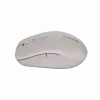 Ratón Canyon MW-12 dualband inalámbrico beige - ratón - 2.400 dpi (CNS-CMSW12BG)