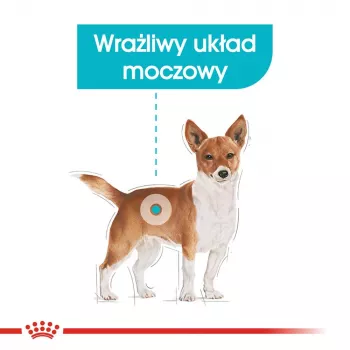 Comida seca para perros Royal Canin Mini Urinary Care 3 kg — razas pequeñas, aves, 27 % proteína, 16 % grasa