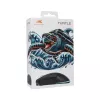 Ratón Baracuda BGM-121 Turtle negro USB