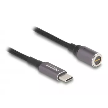 Cable de alimentación DeLOCK 80781 0,15 m USB-C 8-Pin 20 V