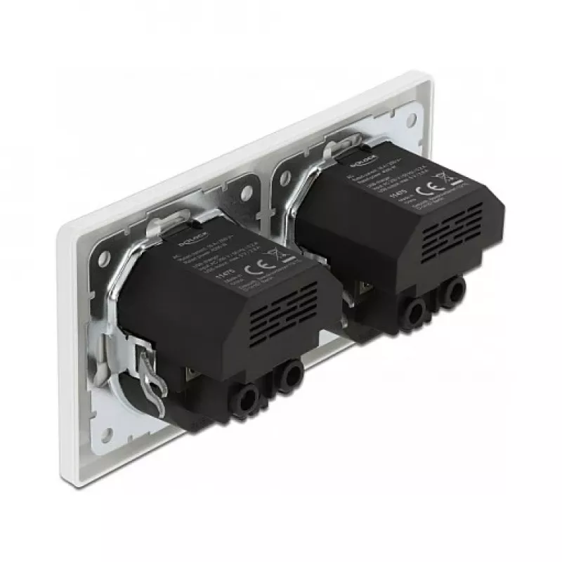 Toma de pared DeLOCK 2 tomas con 4 puertos USB 2 x 2,8 A