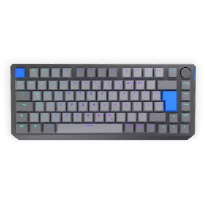 Teclado mecánico inalámbrico compacto 75% ENDORFY Thock V2 con interruptores amarillos, Distribución DE