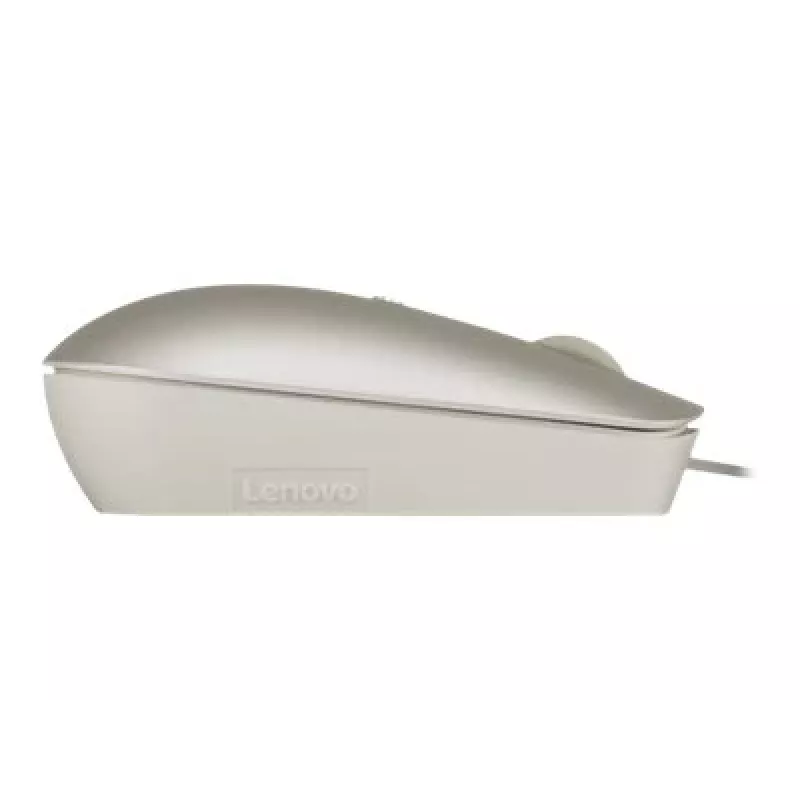 Ratón de oficina con cable Lenovo 540 ambidiestro USB Type-C Óptico 2400 DPI Arena