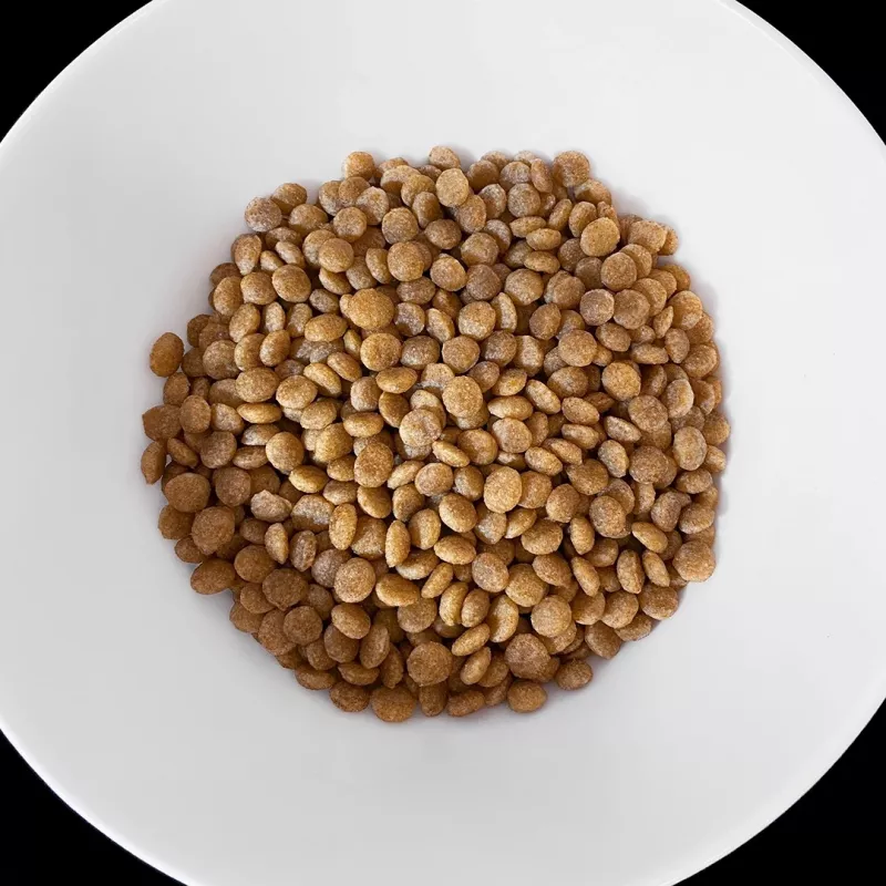 VET RESPONSE Hypoallergenic - Pienso para gatos - 1,6 kg