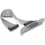 Cable SATA DeLOCK 84300 0,22 m conector hembra/conector hembra