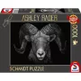 Ashley Rader: Dominance - Widder, Im Zeichen des Feuers, puzle 1000 piezas