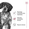 ROYAL CANIN SHN Medium Adult lata 410 g