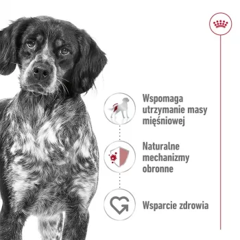 ROYAL CANIN SHN Medium Adult lata 410 g