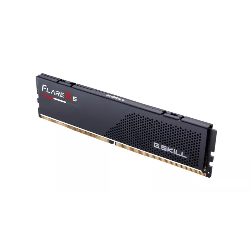 G.Skill Flare X5 F5-6000J3038F8GH1-FX5, 8 GB, 1 x 8 GB, DDR5, DIMM de 288 pines - G.Skill Flare X5 F5-6000J3038F8GH1-FX5. Componente para: PC