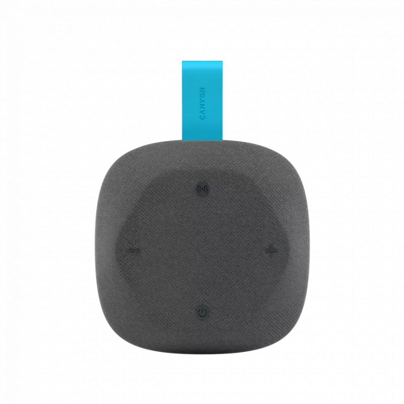Canyon Hexagon 10 - Altavoz Bluetooth 5.3 - USB-C - lector de tarjetas - IPX5 - azul-gris
