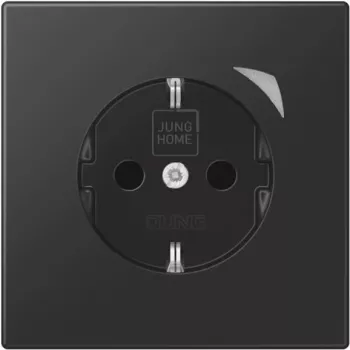 Jung HOME SCHUKO BTLS1521SSWM enchufe 1 (BTLS1521SSWM)