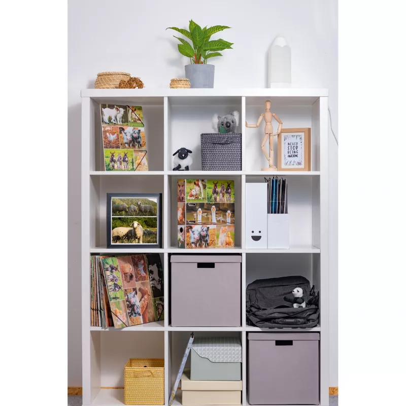 Archivador HERMA 19253 A4 multicolor cartón 285x315 mm
