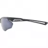 Gafas de sol Alpina Nylos HR Cat. 3 gris