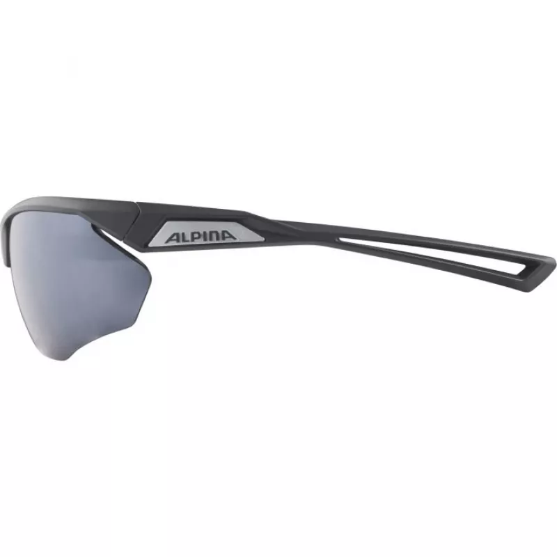 Gafas de sol Alpina Nylos HR Cat. 3 gris