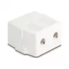 Delock 85843 Carcasa Keystone vacía, 2 puertos, con base magnética, blanco