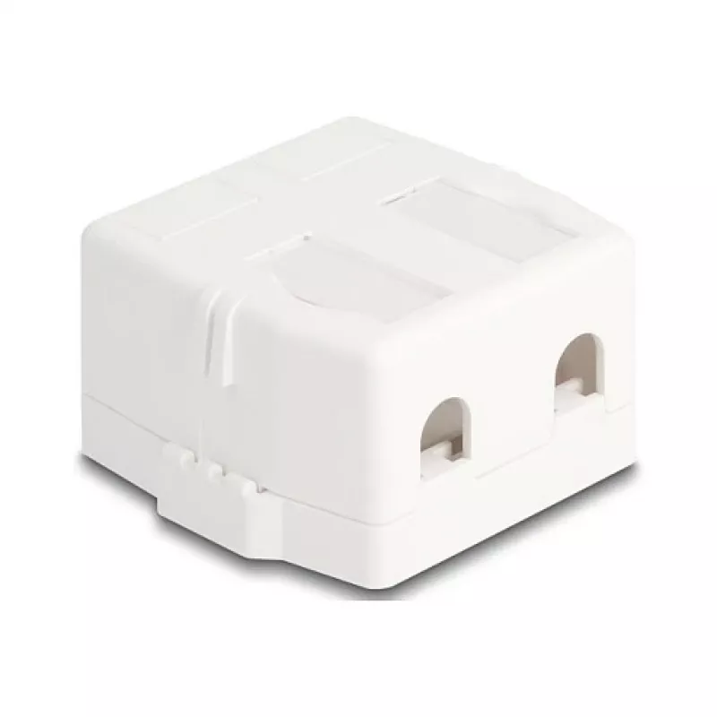 Delock 85843 Carcasa Keystone vacía, 2 puertos, con base magnética, blanco