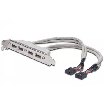 Cable con placa de ranura USB 2.0 HighSpeed Type 2xIDC (5pin)/4xUSB A M/H gris 0,25 m
