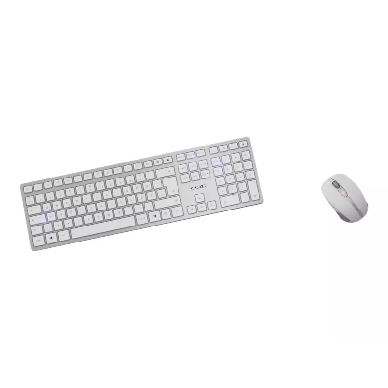 CHERRY DW 9100 Teclado y ratón incluidos universal RF Wireless + Bluetooth checo, eslovaco plateado