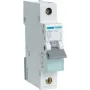 Interruptor automático Hager MBN110 1P, 10 A, 50–60 Hz