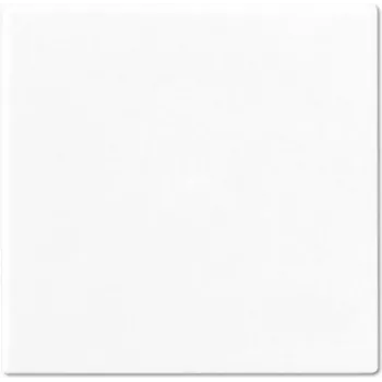 Marco embellecedor Jung A 590 WW Blanco – Accesorio para interruptor de pared, superficie blanca