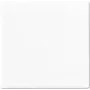 Marco embellecedor Jung A 590 WW Blanco – Accesorio para interruptor de pared, superficie blanca