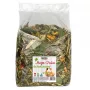 Alegia Mega Pack snack para cobayas, 650 g