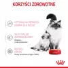 Royal Canin BABYCAT INSTINCTIVE - Comida húmeda para gatos - 195 g