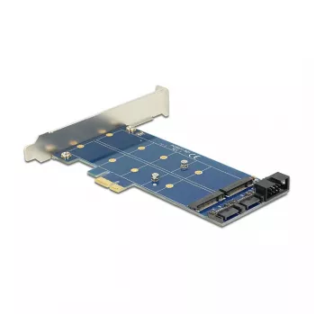 DeLOCK 89374 tarjeta PCI Express x1 a 2x M.2 NGFF internos