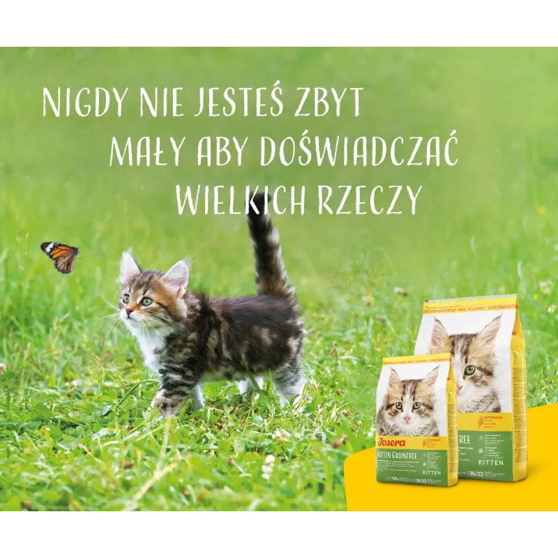 Pienso seco para gatos Josera Kitten Ave 2 kg