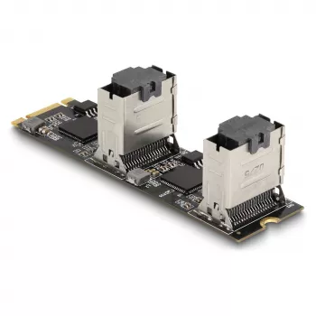 Convertidor DeLOCK M.2 2280 Key B+M macho a 8 x SATA