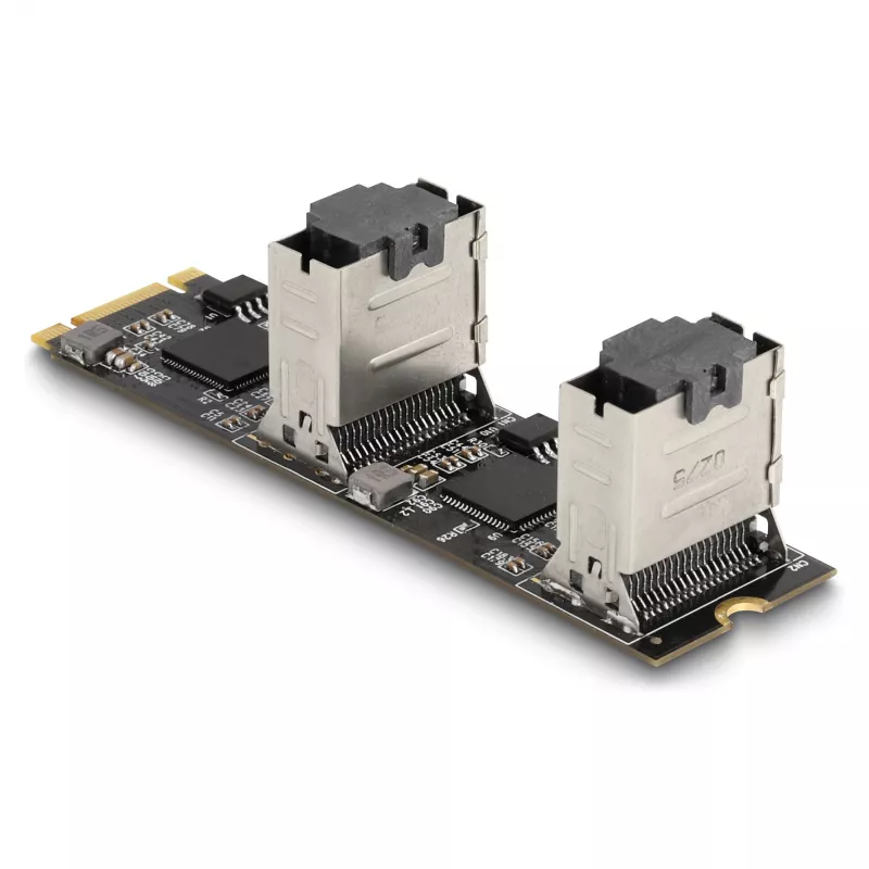 Convertidor DeLOCK M.2 2280 Key B+M macho a 8 x SATA