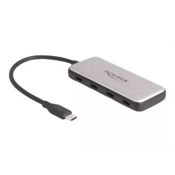 DeLOCK 64261 Hub USB 3.2 Gen 1 Type-C 10000 Mbit/s negro gris