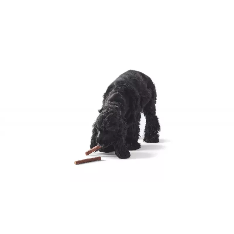 JOHN DOG palitos de jabalí snack para perros 50 g