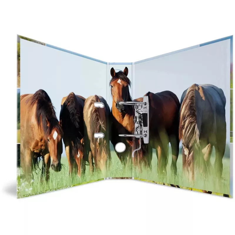 Archivador HERMA 19251 A4 multicolor con anillas D 285x315 mm
