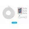 Vention PAEWH tira LED de neón de silicona, 2 m, USB 5 V, con mando a distancia IR