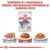 ROYAL CANIN FHN Sterilised en salsa – Comida húmeda para gatos adultos – 12x85g