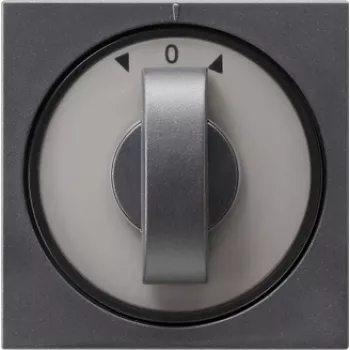 GIRA 066628 Placa mural/tapa de interruptor antracita (066628)