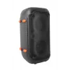 Altavoz karaoke Esperanza EP156 BT FM LED RGB negro 20W