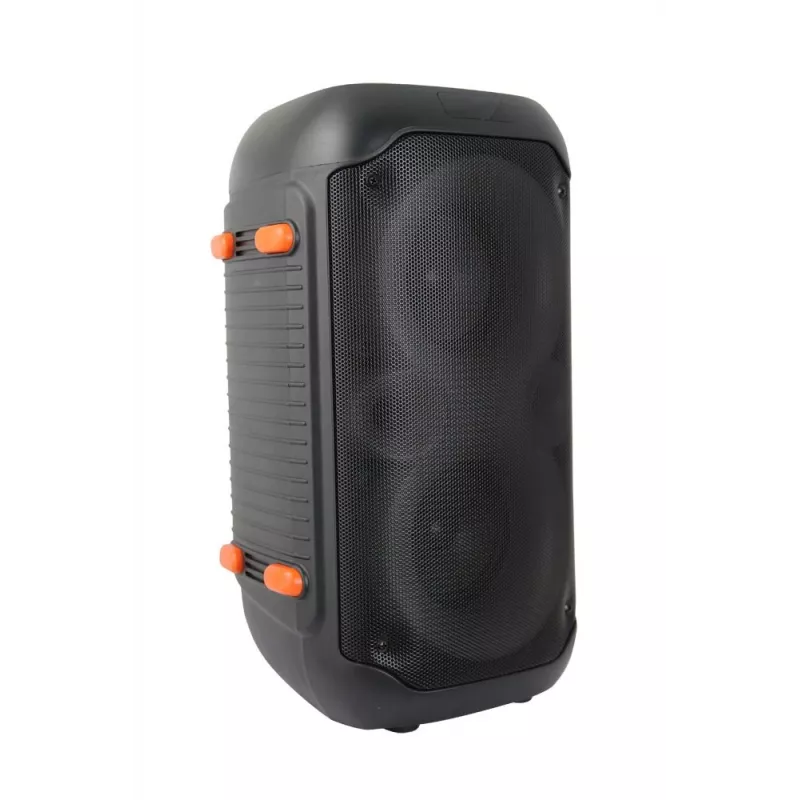 Altavoz karaoke Esperanza EP156 BT FM LED RGB negro 20W
