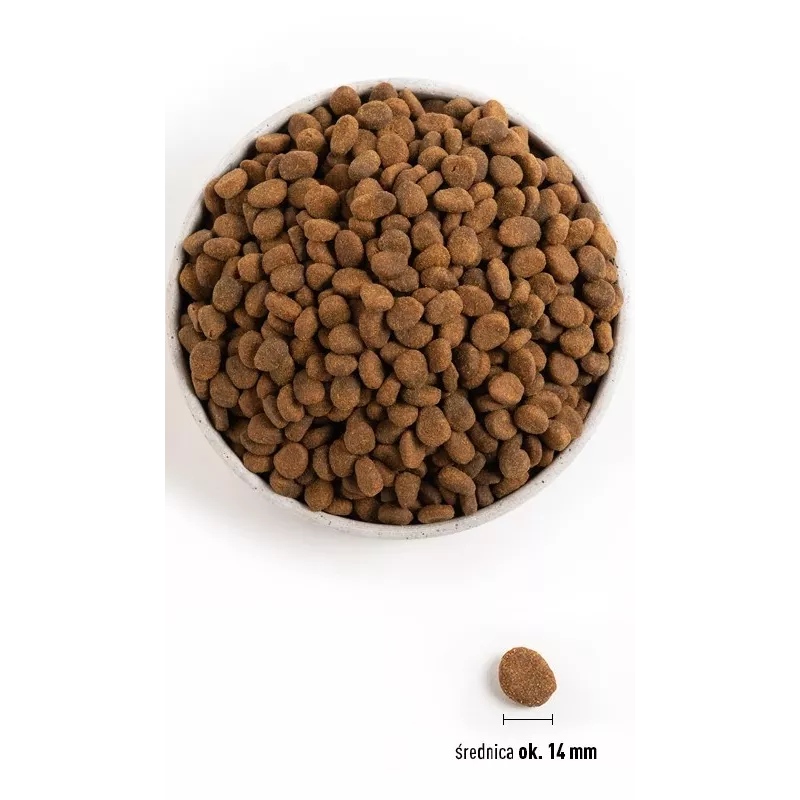 Orijen Regional Red 2 kg Adulto Ternera, Cordero, Cerdo