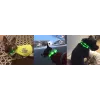Collar LED Anicoll verde para perros y gatos modelo iluminación recargable