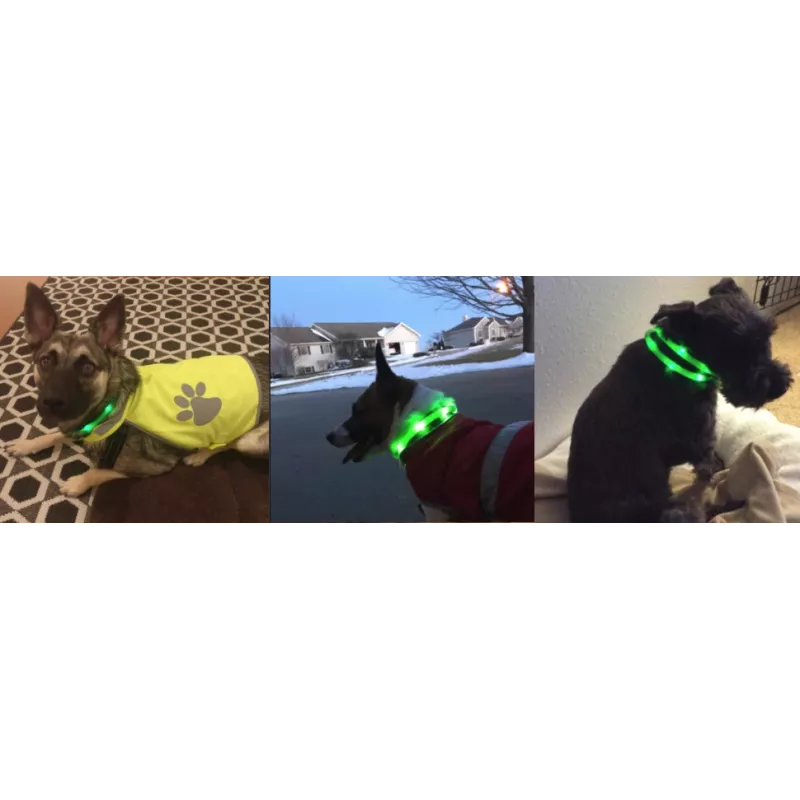 Collar LED Anicoll verde para perros y gatos modelo iluminación recargable