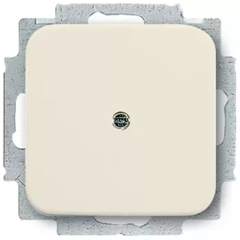 BUSCH-JAEGER Tapa ciega 2538-212 Duro 2000 SI anillo de soporte blanco 2538-212 (1715-0-0218)